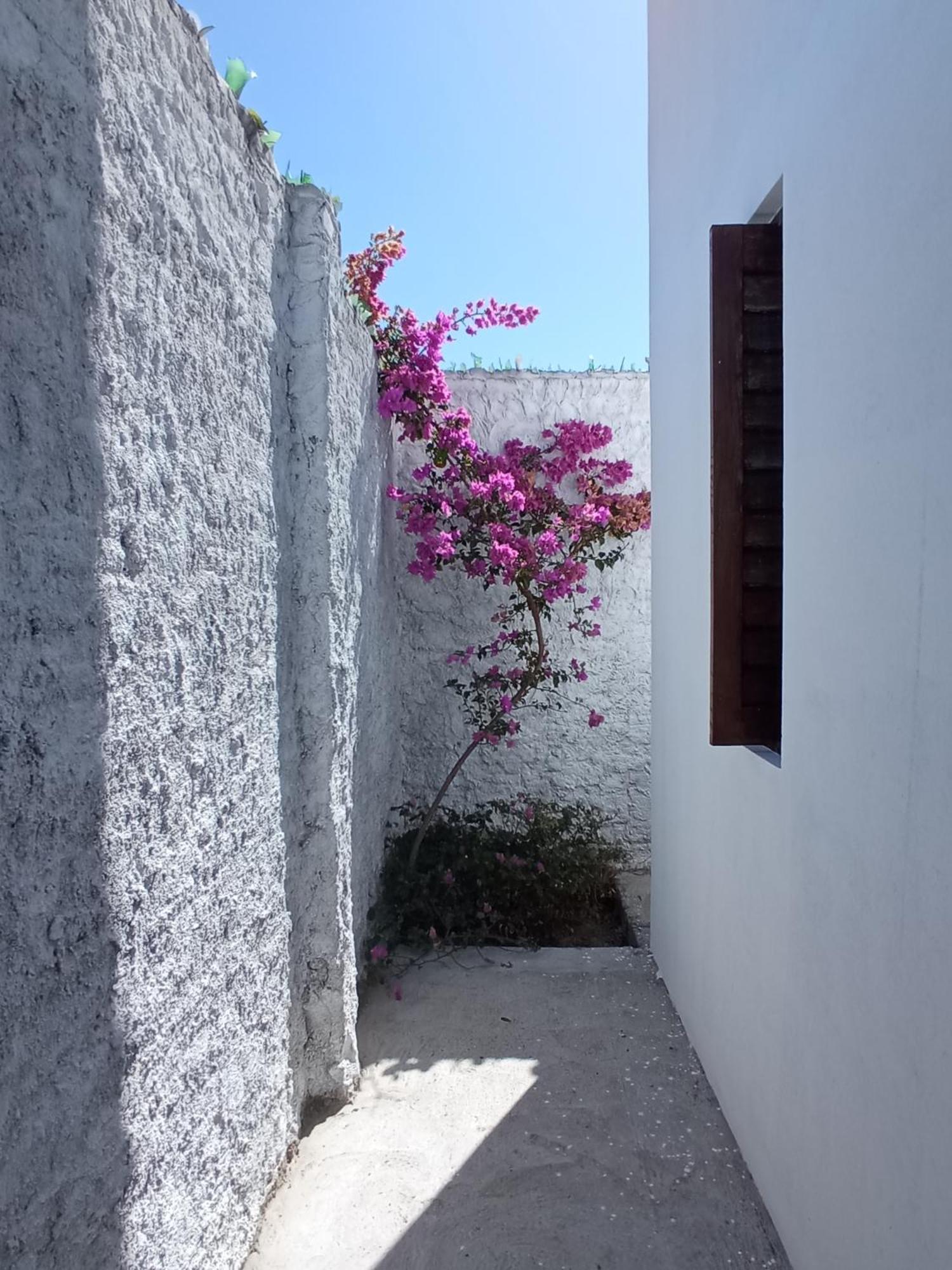 Casa Inti De Maracajau Villa Exterior foto